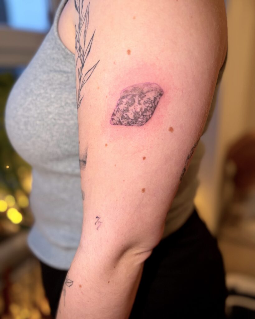 Image de protefolio, tatouage en ombrage d'un coquillage, sur le haut du bras. 