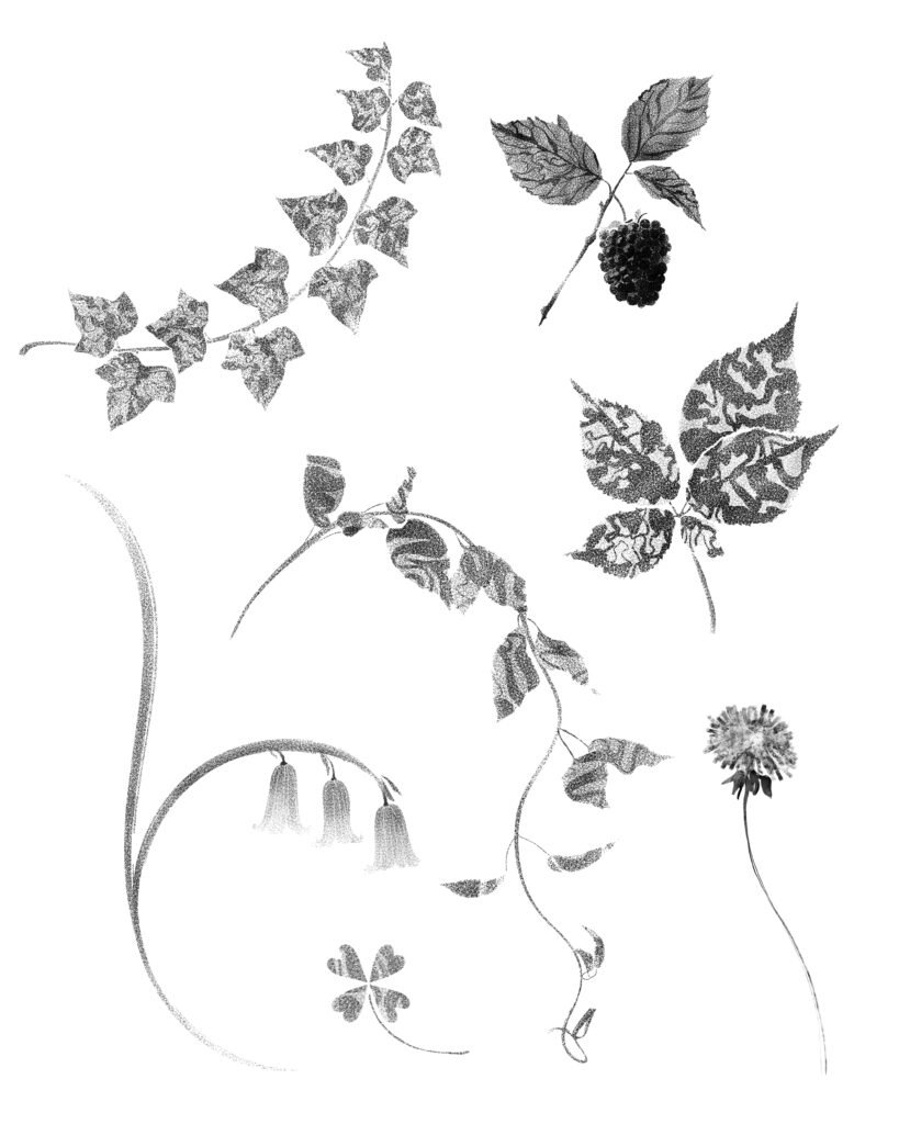 flash tattoo plantes