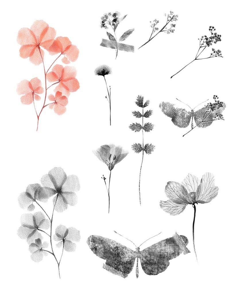 flash tattoo fleurs séchées