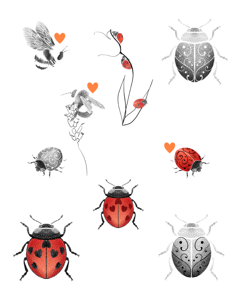 flash tattoo coccinelles, rouge et noir